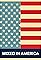 Mixed in America's primary photo