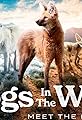 Dogs in the Wild's primary photo