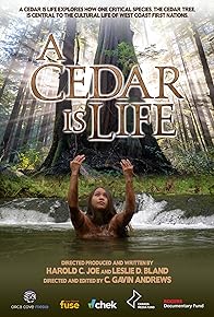 Primary photo for A Cedar Is Life