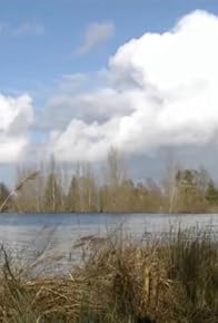 Primary photo for La réserve ornithologique de Saint-Cyr dans la Vienne