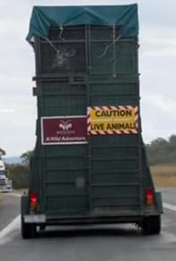 Primary photo for Giraffe Road Trip