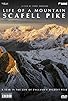 Primary photo for Life of a Mountain: A Year on Scafell Pike