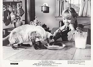 पोस्टर देखें