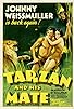 Primary photo for Tarzan and His Mate Primary photo for Tarzan and His Mate
