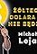 Michal Leja: Zóltego dolara tu nie bedzie's primary photo