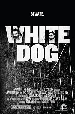 Poster of White Dog