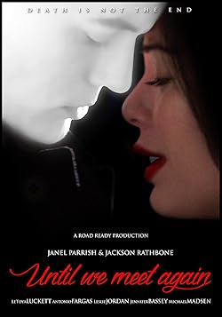 Poster of Until We Meet Again