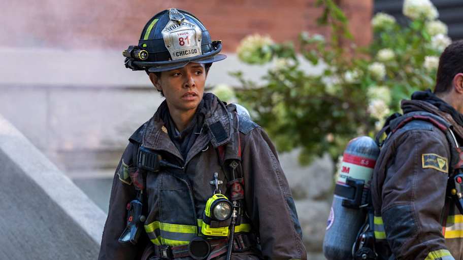 Herrmann's tragic Chicago Fire season 14 storyline was inspired by real life  tragedy - IMDb