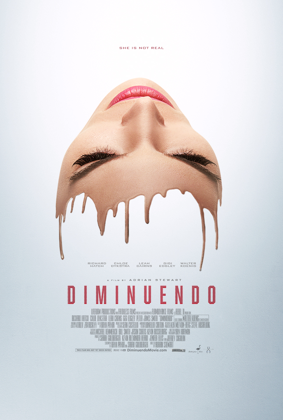 Poster of Diminuendo