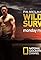 Wild Survivor's primary photo
