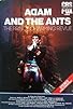 Primary photo for Adam and the Ants: The Prince Charming Revue Primary photo for Adam and the Ants: The Prince Charming Revue
