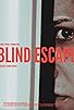Primary photo for Blind Escape