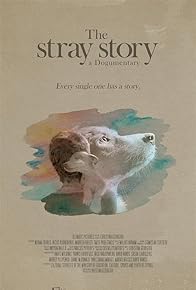 Primary photo for The Stray Story: A Dogumentary Primary photo for The Stray Story: A Dogumentary