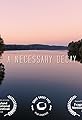 A Necessary Decay's primary photo