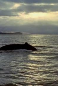 Primary photo for Humpback Whale: Giant of the Oceans
