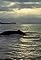 Humpback Whale: Giant of the Oceans's primary photo