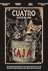 Primary photo for Cuatro Gatos En Una Caja