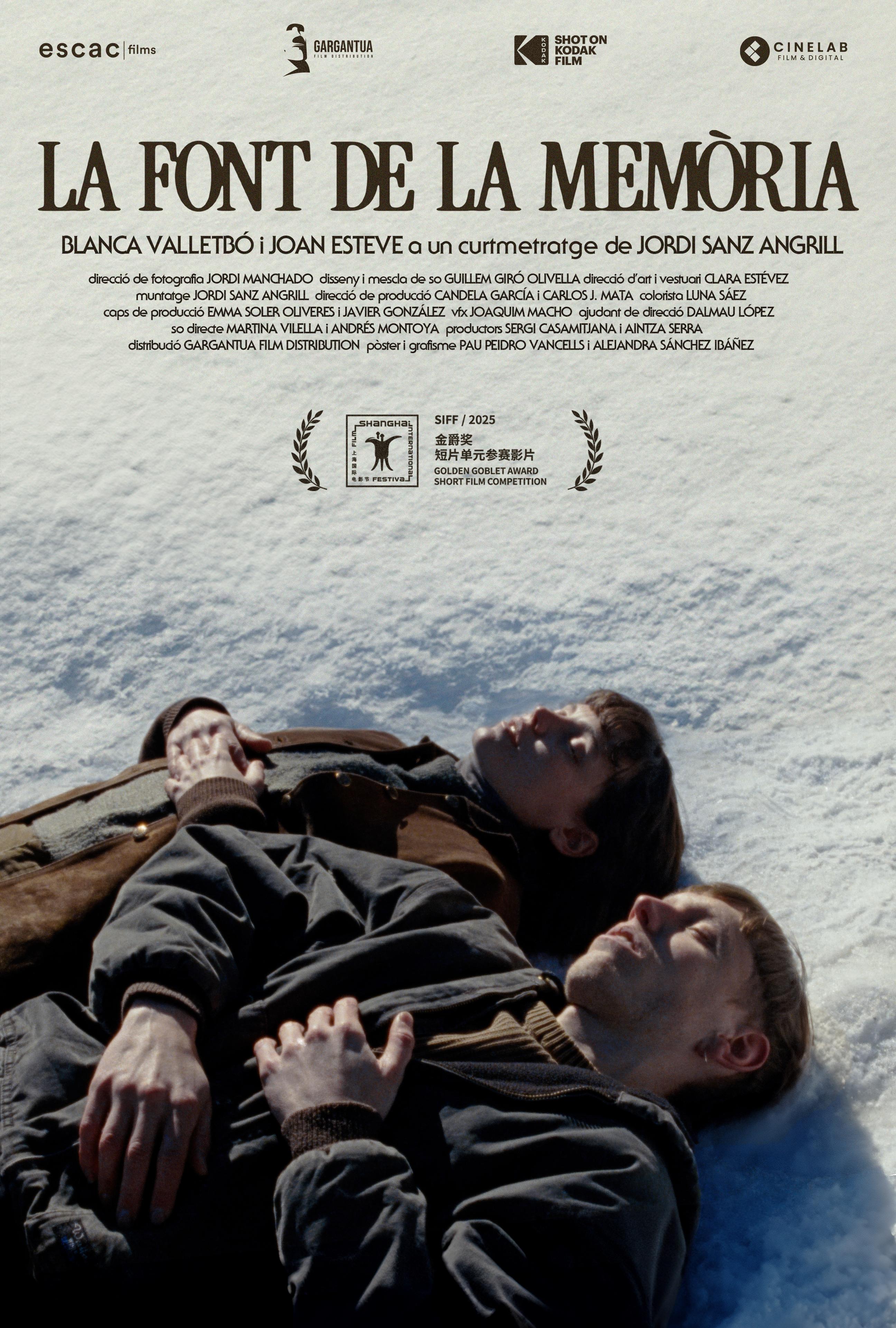 La font de la memòria