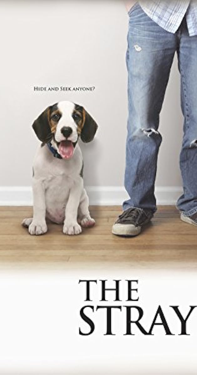 The Stray (2012) IMDb