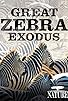 Primary photo for Great Zebra Exodus