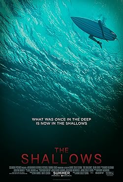Poster of The Shallows