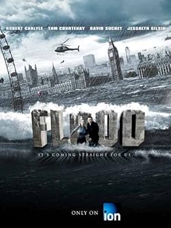 Poster of Flood