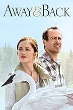 पोस्टर देखें