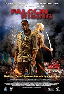 Poster of Falcon Rising