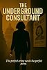 Primary photo for The Underground Consultant Primary photo for The Underground Consultant