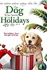 Primary photo for The Dog Who Saved the Holidays Primary photo for The Dog Who Saved the Holidays