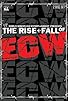 Primary photo for The Rise & Fall of ECW