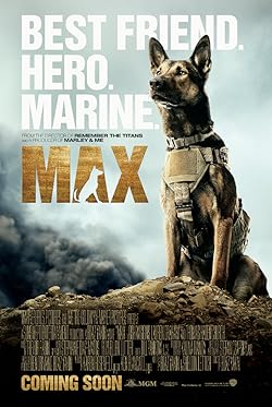 Poster of Max
