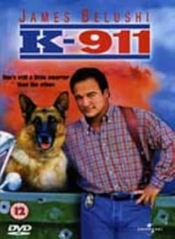 Poster of K-911