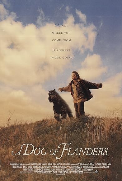 Primary photo for A Dog of Flanders Primary photo for A Dog of Flanders