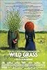 Primary photo for Wild Grass Primary photo for Wild Grass