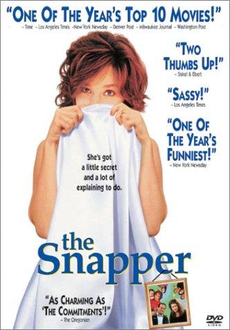 Poster of The Snapper