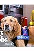 Primary photo for Dogs with Jobs Primary photo for Dogs with Jobs