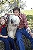 Primary photo for McDuff, the Talking Dog Primary photo for McDuff, the Talking Dog