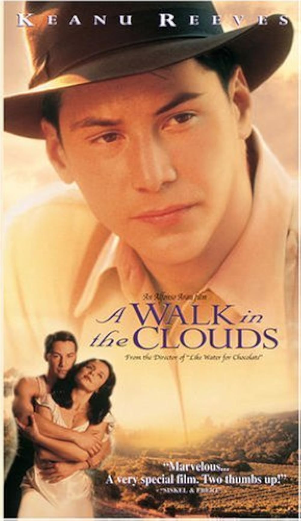 A Walk in the Clouds (1995) A Walk in the Clouds (1995)
