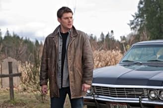 पोस्टर देखें