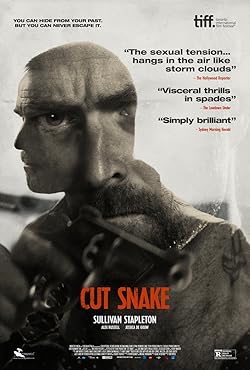 Poster of Cut Snake