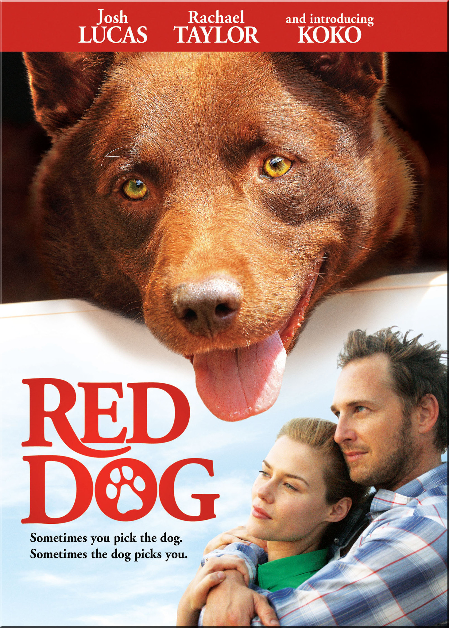 Red Dog movie nostalgia