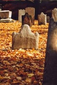 Primary photo for The Day They Died Primary photo for The Day They Died