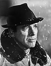 पोस्टर देखें