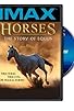 Primary photo for Horses: The Story of Equus Primary photo for Horses: The Story of Equus