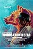 Primary photo for Words from a Bear Primary photo for Words from a Bear