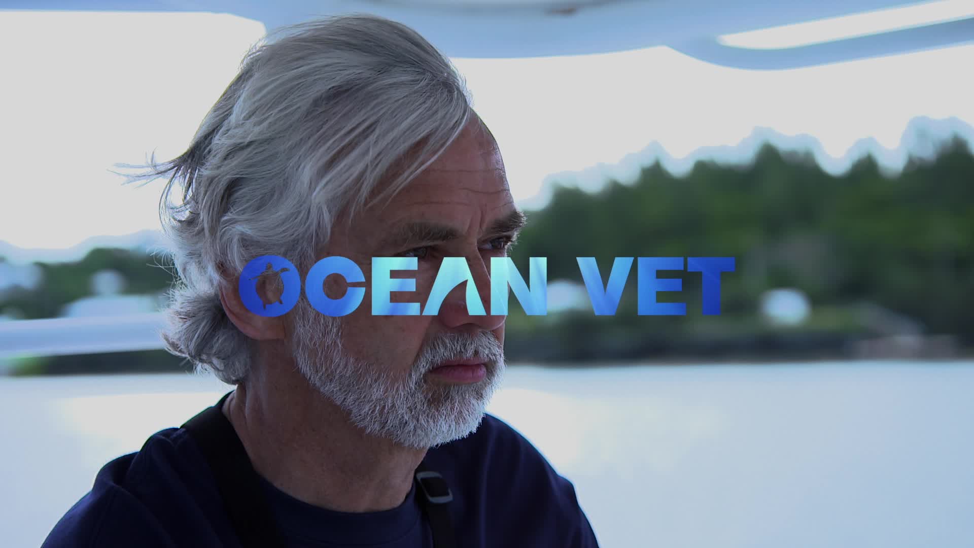 Ocean Vet