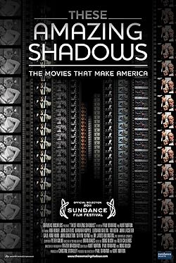 Poster of These Amazing Shadows
