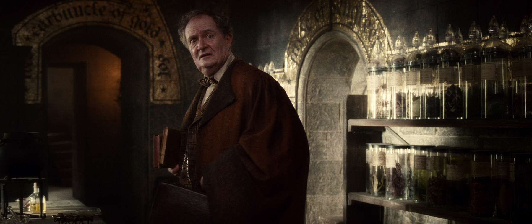 Jim Broadbent in Harry Potter and the Half-Blood Prince (2009)