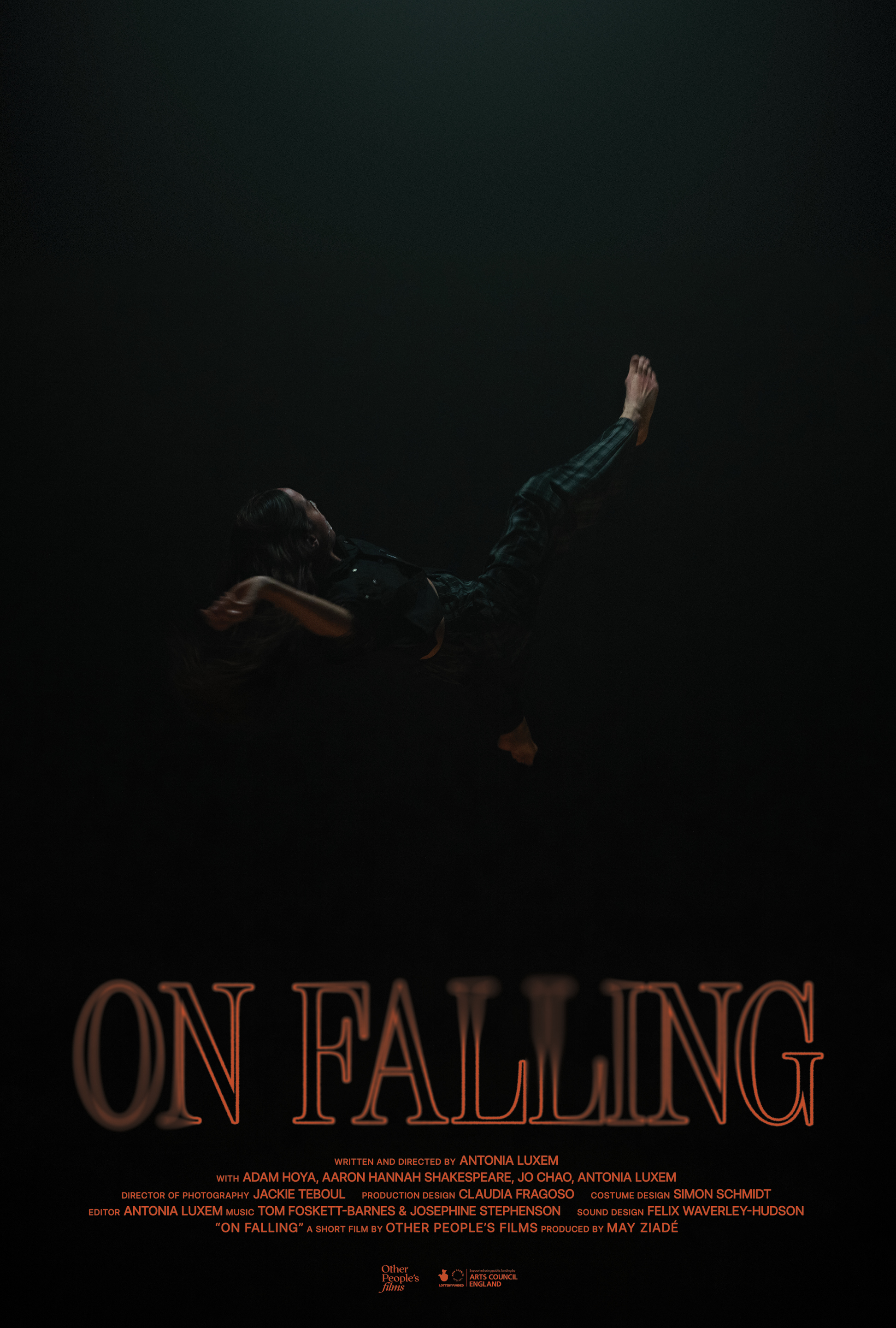 Poster of On Falling
